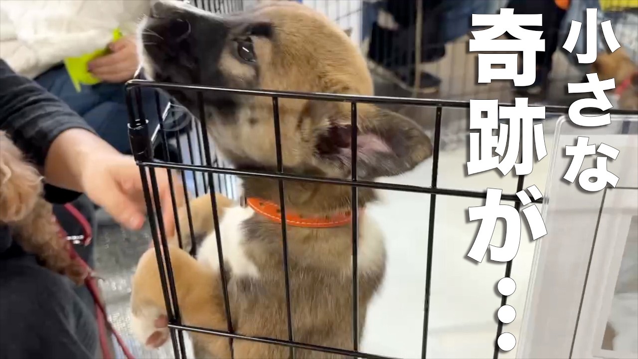 全員に…この日、確かに何かが起きた。