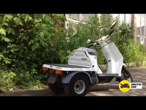 Видео обзор HONDA GYRO UP