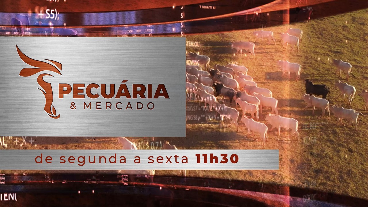 PECUÁRIA & MERCADO - EDIÇÃO 30-06-2026