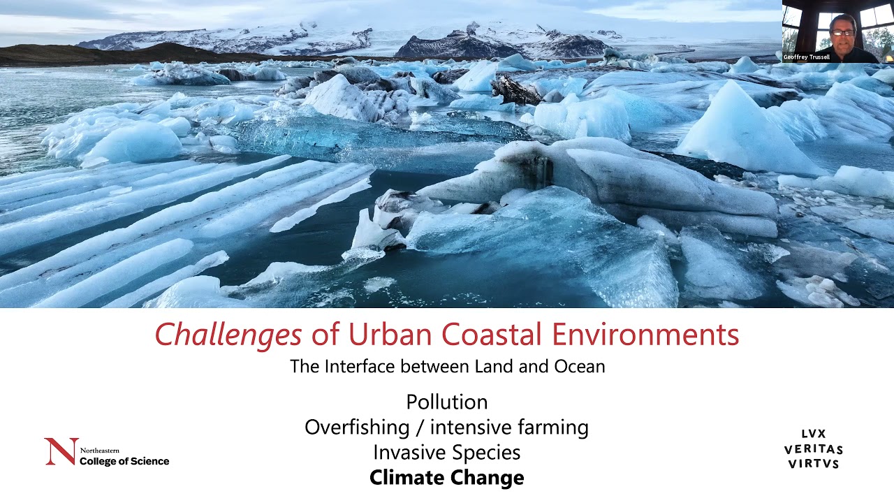 Meet the Department: Marine & Environmental Sciences