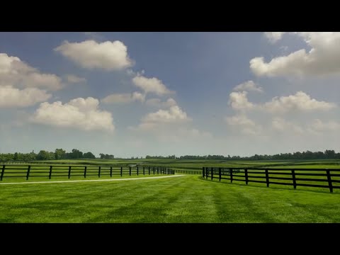 THE LANE'S END EXPERIENCE