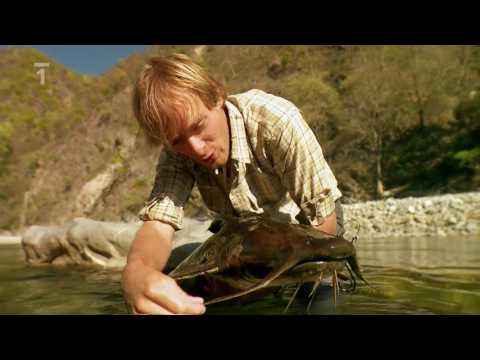 Rybí legendy Jakuba Vágnera; Indie I