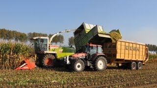 preview picture of video 'Loonwerk De Bruyne - Claas Jaguar 900 Fieldshuttle'