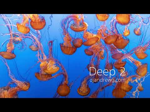 DJ Andrew G - Deep 2 (Deep House & Dub Techno Mixtape)