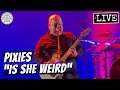 Pixies "Is She Weird" LIVE
