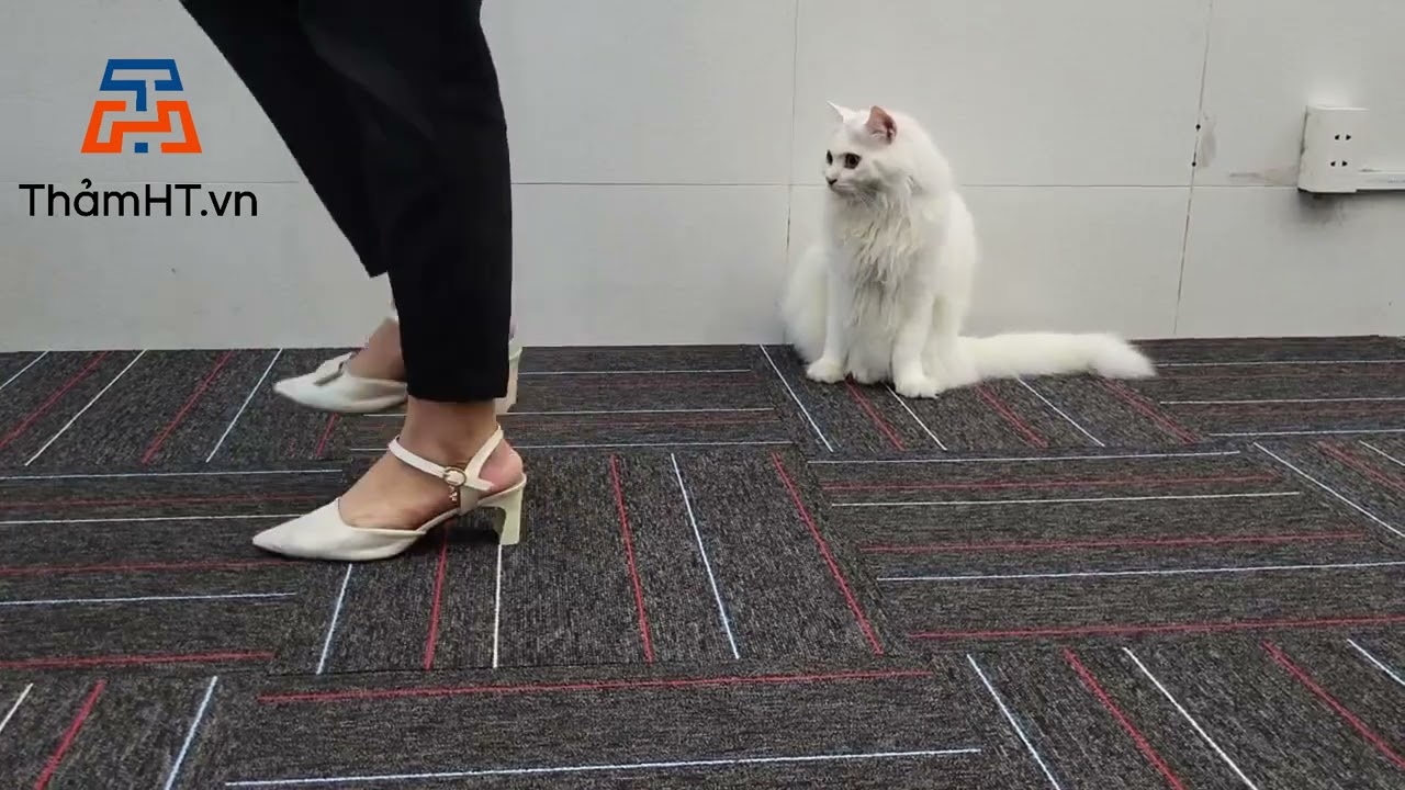 Thảm Trải Sàn Bida Sun 05