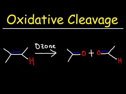 Organic Chemistry 1 Exam 2 Review Questions