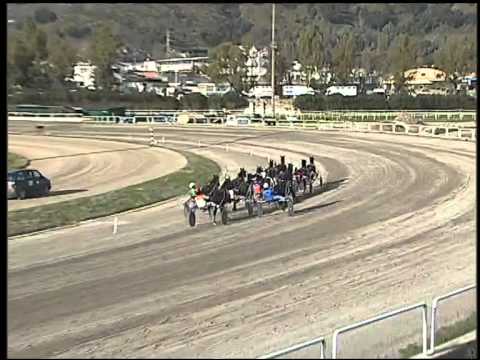 Trotto 27/01/2015 - 1° Corsa