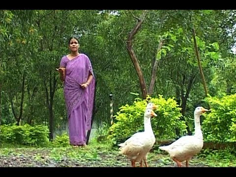 आ के मुझे राह दिखा दे — वीडियो थंबनेल