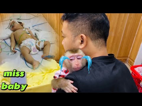 Обезьянка Диана заболела после долгого перерыва в общении с мамой и детенышем.