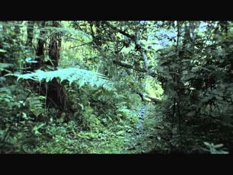 Canal Futura - Campanha Institucional - Conhecimento sem limites