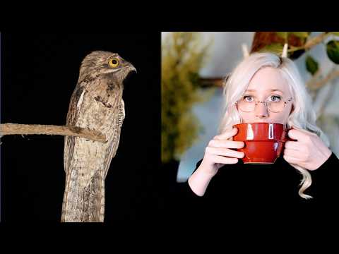 I found even rarer bird facts