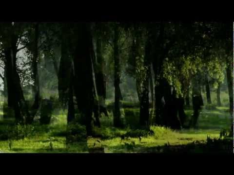 George Winston - Woods