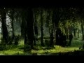 George Winston - Woods