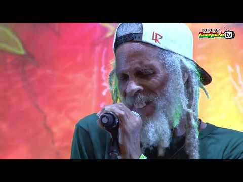 THE CONGOS live @ Main Stage 2016