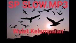 Download lagu SP SLOW MP3... mp3
