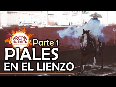 Part 1 PIALES on the CANVAS - Arena Vallarta