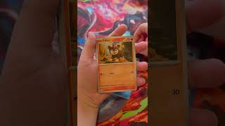 Youngest Son Opening Mege Evolution.