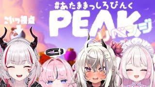 【#あたままっしろぴんく PEAK】登山リベンジ！！【デストロイヤー・R・ロイロ視点】