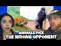 30 Times Animals Messed With The Wrong Opponent NATURE IS NO JOKE DAMN