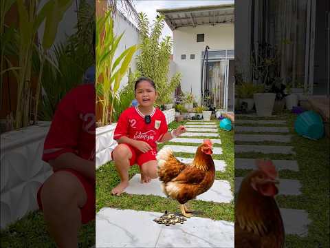 Ini eek ayam ini eek kambing ini eek gajah 🐓🐐🐘 #animals