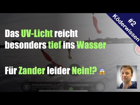 ► #Köderwissen 2 -  UV-Licht reicht tief ins Wasser. Für Zander leider nein ★★★★★ 🥺 (2023)