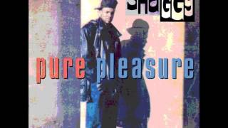 Shaggy - Give Thanks And Praise