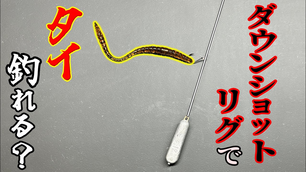 予想外？タイラバとワームで釣果を比較してみた。