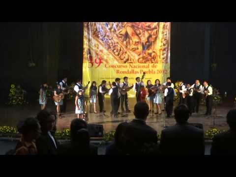 ATENEO 2012- RONDALLA ARMONIA ACUSTICA- SI TU LO DESEAS (HD)