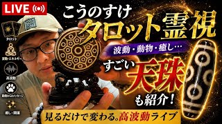 こうのすけ　タロット霊視　波動　動物　癒しなど