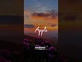 Vaada Vaada Paiya Song Lyrics Trending Tamil Song Lyrics Sruthi Siva Tamilmusic Tamilstatus