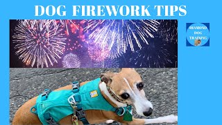 Fireworks & Dogs: Safety Tips That Work