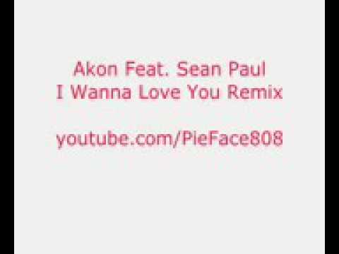 Akon ft Sean paul I wanna love you remix