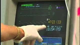 Animal-assisted therapy research findings | UCLA People Animal Connection - UCLA Health