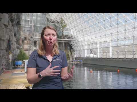 Lighting the Way Towards Coral Research | Biosphere 2 Ocean