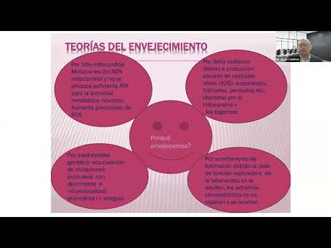 El Omega 3 y el Adulto Mayor