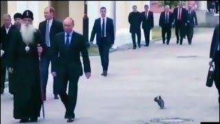 Download lagu Incredible Bird Saluting Putin #shorts #putin #bird mp3