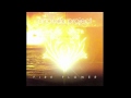 Ananda Project - Universal Love 