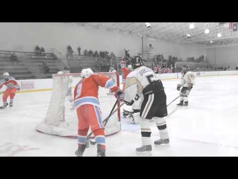 2016 Pee Wee Minor state title game - Little Caesars vs. Honeybaked