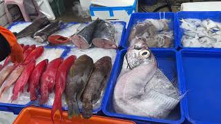 2025年3月2日星期日🌤️大溪🐟港買🐟