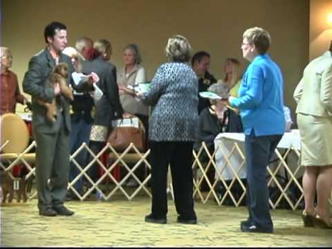 download lagu mp3 mp4 Amy Rutherford Professional Dog Handler, download lagu Amy Rutherford Professional Dog Handler gratis, unduh video klip Amy Rutherford Professional Dog Handler