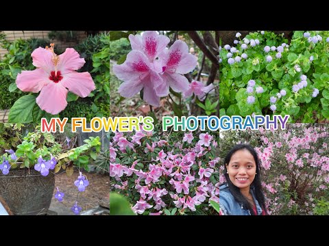 RELAXING SOUNDS FLOWER'S PHOTOGRAPHY || #BEAUTIFUL NATURE #FLOWER'S PICTURES COLLECTIONS/BY GINALYN