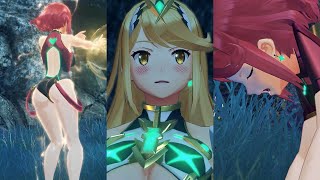 My Xenoblade Chronicles 2 Community Posts (December 2023 Compilation)