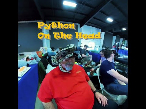 Stunning Snake dances on man head 🐍 Reptile Con