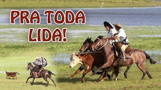 Miniatura do vídeo