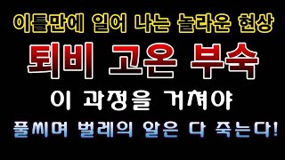 [텃밭농부. 1,322]  만든지 이틀만에 일어나는 놀라운 현상. 퇴비 고온 부숙 현상!