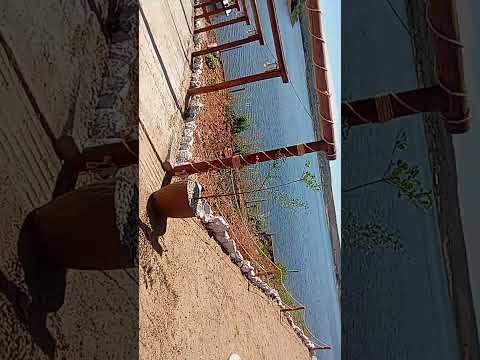 inauguração do flutuante, barragem de Bocaina pi