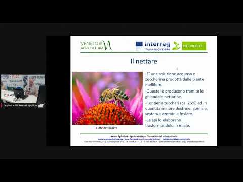 , title : 'Le piante di interesse apistico mellifere e pollinifere'
