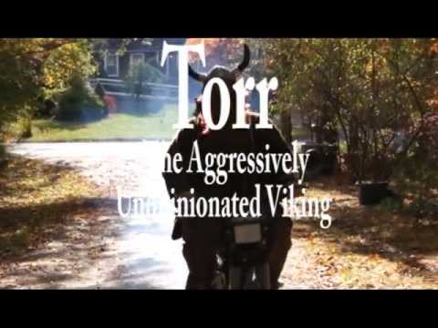 Torr The Aggressively Unopinionated Viking