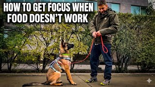 TRY THIS When Treats Don’t Work!
